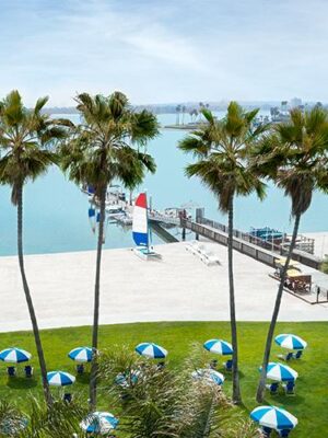 Beach chairs and umbrellas with view of Mission Bay