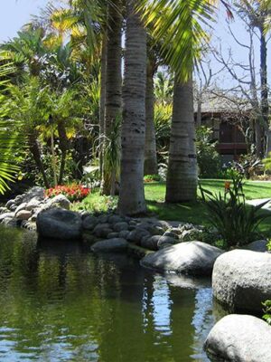 View of the garden and pond at the Catamaran Resort Hotel and Spa by Pacific Beach, San Diego, CA