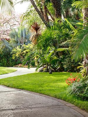 View of garden and walkway at the Catamaran Resort Hotel and Spa by Pacific Beach, San Diego, CA